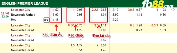 fb88-kèo chấp Leicester vs Newcastle