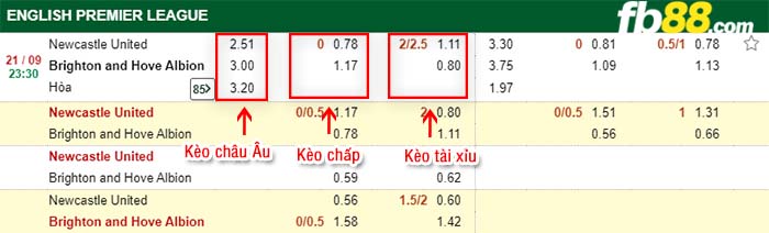 fb88-kèo chấp Newcastle vs Brighton