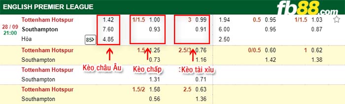 fb88-kèo chấp Tottenham vs Southampton