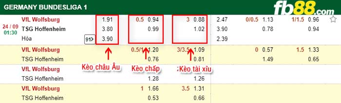 fb88-kèo chấp VFL Wolfsburg vs TSG Hoffenheim