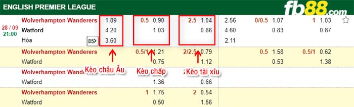 fb88-kèo chấp Wolves vs Watford