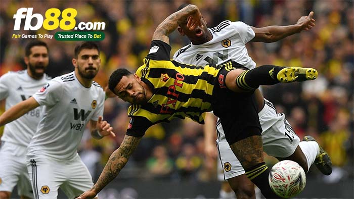 fb88-nhận định kèo bóng đá Wolves vs Watford