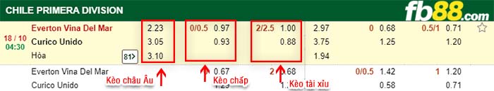 fb88-kèo chấp Everton Vina Del Mar vs Curico Unido