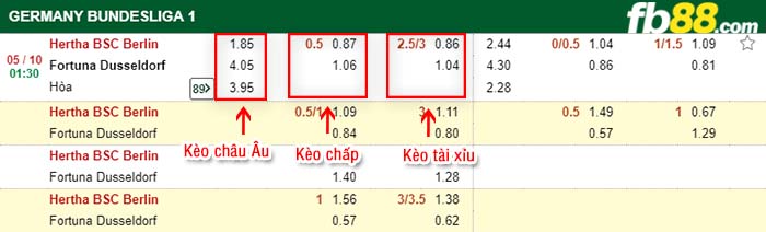 fb88-kèo chấp Hertha BSC Berlin vs Fortuna Dusseldorf