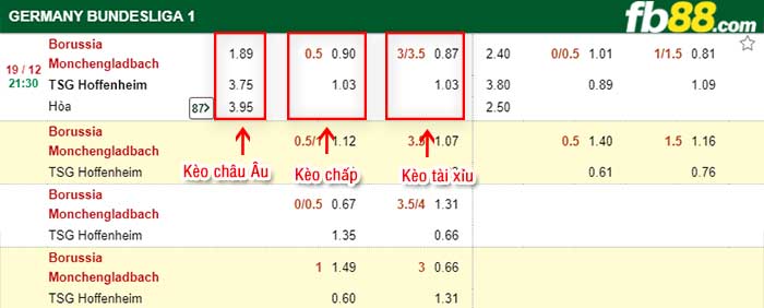 fb88-kèo chấp Borussia Monchengladbach vs TSG Hoffenheim