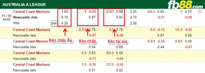 fb88-bảng kèo trận đấu Central Coast vs Newcastle Jets