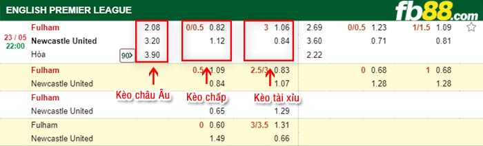 fb88-bảng kèo trận đấu Fulham vs Newcastle
