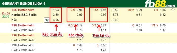 fb88-bảng kèo trận đấu Hoffenheim vs Hertha Berlin