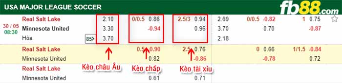 fb88-bảng kèo trận đấu Salt Lake vs Minnesota