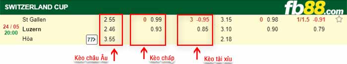 fb88-bảng kèo trận đấu St. Gallen vs Luzern