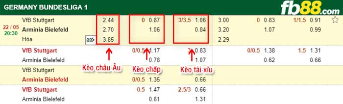 fb88-bảng kèo trận đấu Stuttgart vs Bielefeld