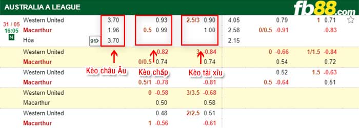 fb88-bảng kèo trận đấu Western United vs Macarthur