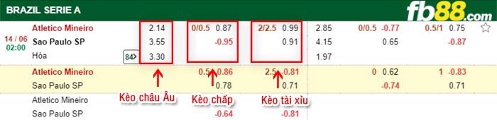fb88-bảng kèo trận đấu Atletico Mineiro vs Sao Paulo