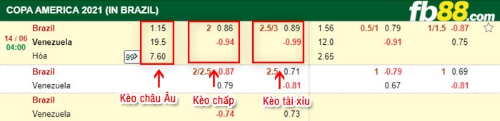 fb88-bảng kèo trận đấu Brazil vs Venezuela