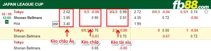 fb88-bảng kèo trận đấu FC Tokyo vs Shonan Bellmare
