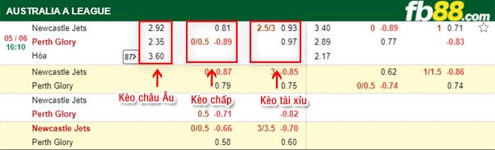 fb88-bảng kèo trận đấu Newcastle Jets vs Perth Glory