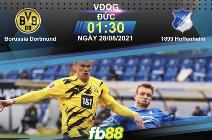 Dortmund vs Hoffenheim