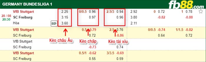 fb88-bảng kèo trận đấu Stuttgart vs Freiburg