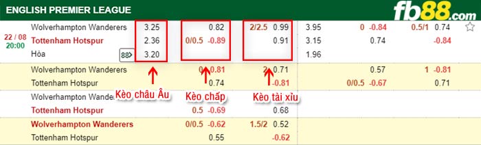 fb88-bảng kèo trận đấu Wolves vs Tottenham