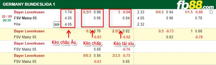 fb88-bảng kèo trận đấu Bayer Leverkusen vs Mainz