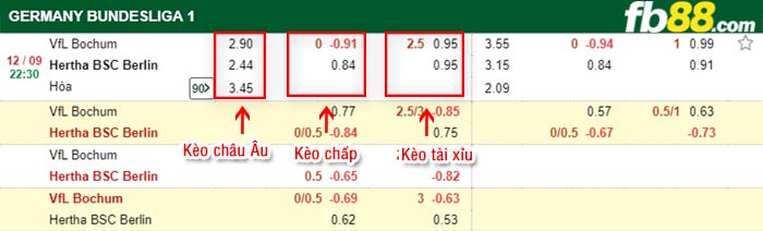 fb88-bảng kèo trận đấu Bochum vs Hertha Berlin