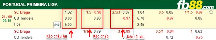 fb88-bảng kèo trận đấu Braga vs Tondela