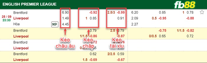 Fb88 bảng kèo trận đấu Brentford vs Liverpool