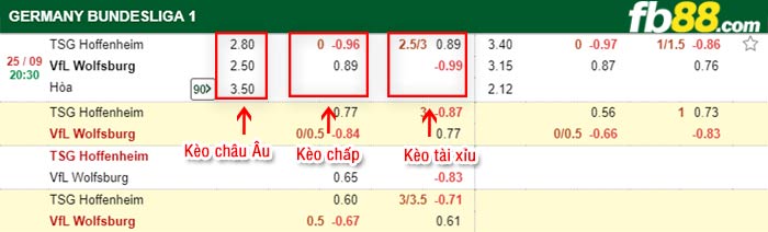fb88-bảng kèo trận đấu Hoffenheim vs Wolfsburg