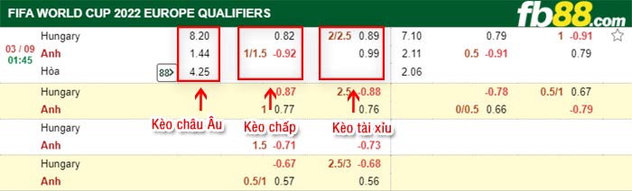 fb88-bảng kèo trận đấu Hungary vs Anh