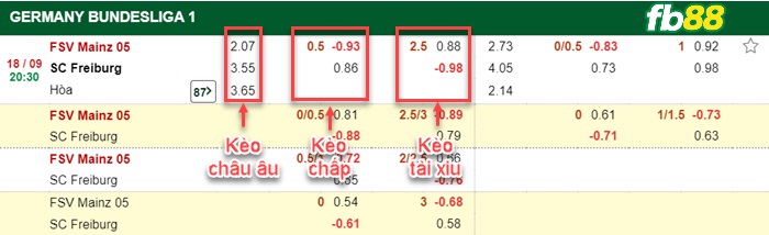 Fb88 bảng kèo trận đấu Mainz vs Freiburg