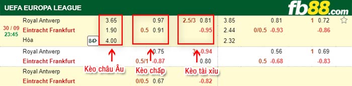 fb88-bảng kèo trận đấu Royal Antwerp vs Eintracht Frankfurt