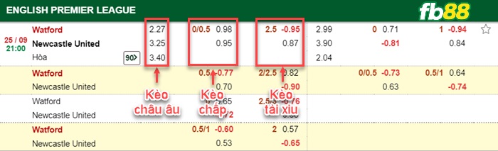Fb88 bảng kèo trận đấu Watford vs Newcastle