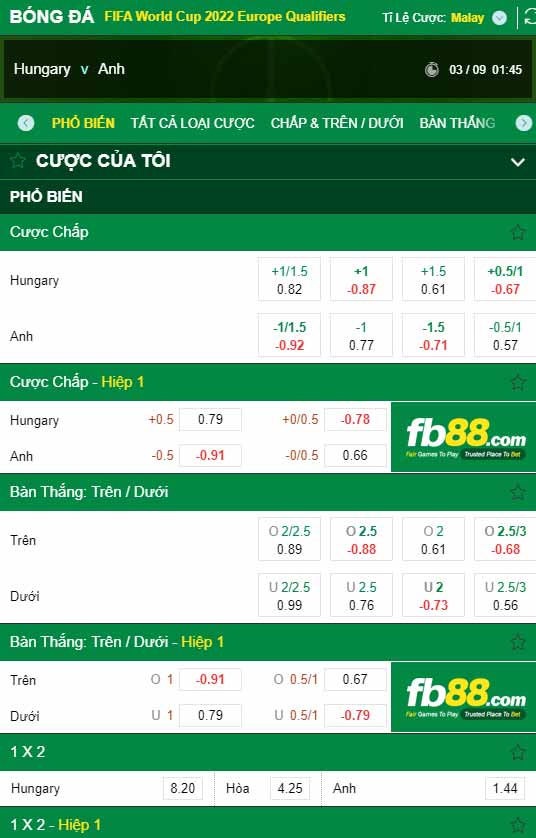 fb88-chi tiết kèo trận đấu Hungary vs Anh