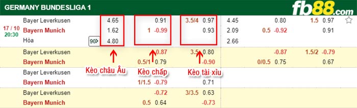 fb88-bảng kèo trận đấu Bayer Leverkusen vs Bayern Munich