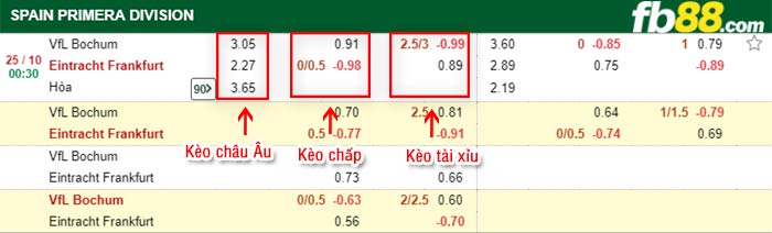 fb88-bảng kèo trận đấu Bochum vs Eintracht Frankfurt
