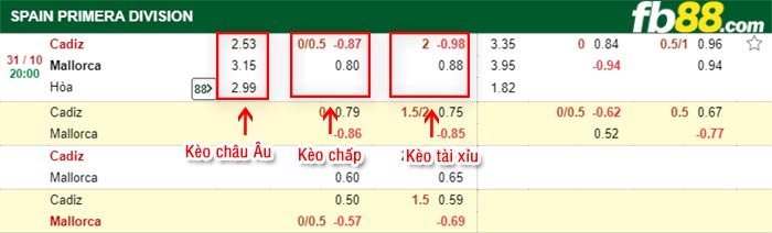 fb88-bảng kèo trận đấu Cadiz vs Mallorca