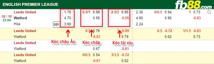 fb88-bảng kèo trận đấu Leeds vs Watford