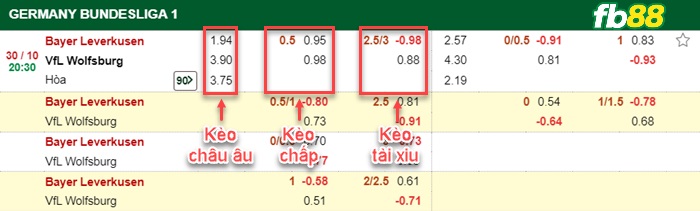Fb88 bảng kèo trận đấu Leverkusen vs Wolfsburg