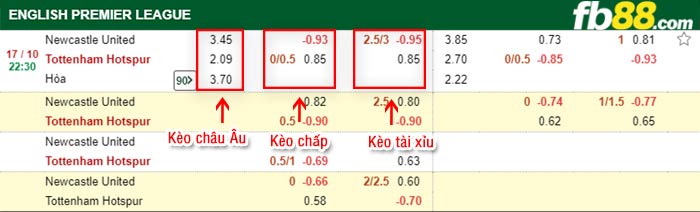 fb88-bảng kèo trận đấu Newcastle vs Tottenham