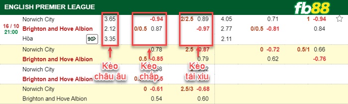 Fb88 bảng kèo trận đấu Norwich vs Brighton