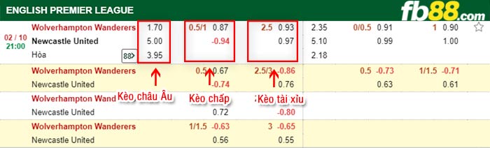 fb88-bảng kèo trận đấu Wolves vs Newcastle