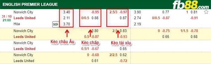 fb88-tỷ lệ kèo chấp Norwich vs Leeds