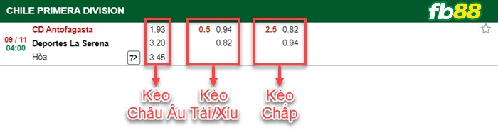 Fb88 bảng kèo trận đấu Antofagasta vs La Serena