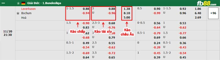 fb88-bảng kèo trận đấu Bayer Leverkusen vs Bochum