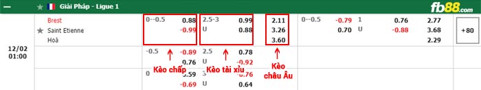 fb88-bảng kèo trận đấu Brestois vs Saint-Etienne