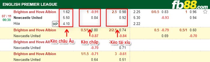 fb88-bảng kèo trận đấu Brighton vs Newcastle
