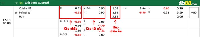 fb88-bảng kèo trận đấu Cuiaba vs Palmeiras