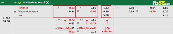 fb88-bảng kèo trận đấu Flamengo vs Goianiense