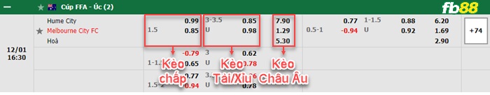Fb88 bảng kèo trận đấu Hume City vs Melbourne City