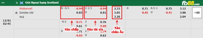 fb88-bảng kèo trận đấu Motherwell vs Dundee United